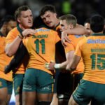 wallabies