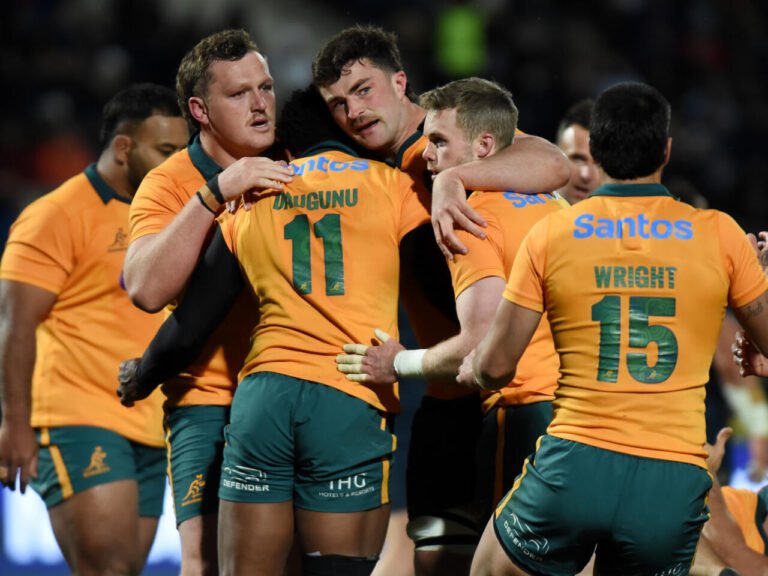 wallabies